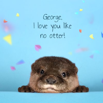 I Love You Like No Otter Fotografie Otter Liefde Kaart