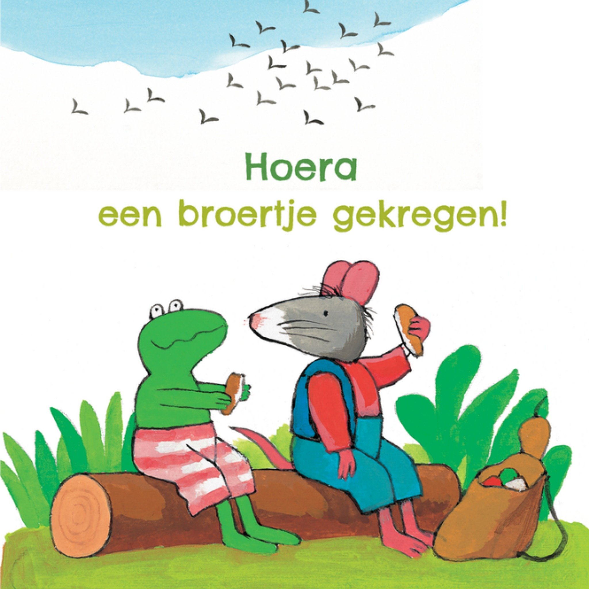 Geboortekaart Broertje Eten Vierkante Kaart Kikker