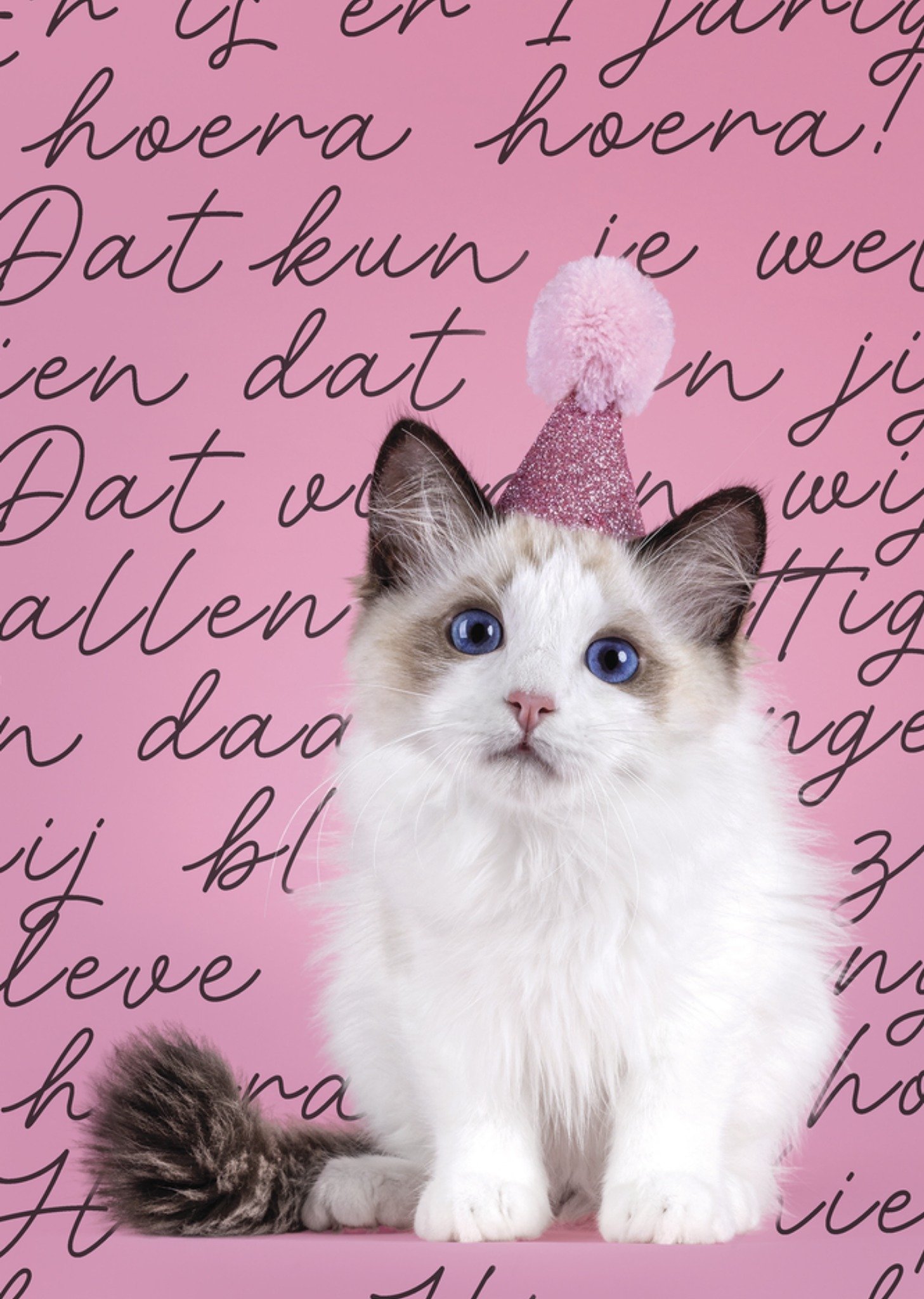 Verjaardagskaart Party Hat Cat Kaart Catchy Images