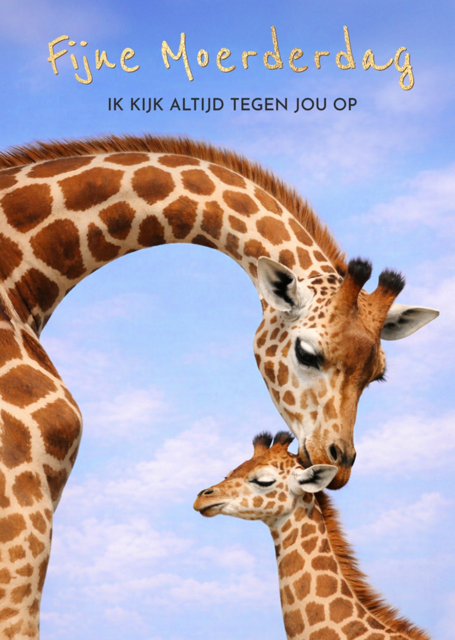 Moederdagkaart Giraffe Moeder En Baby Greetz