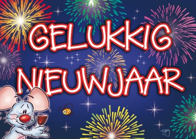 Doodles | Nieuwjaarskaart | Vuurwerk