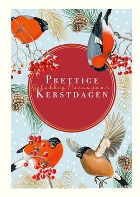 Geïllustreerde Goudvinken Kerst En Nieuwjaar Kaart