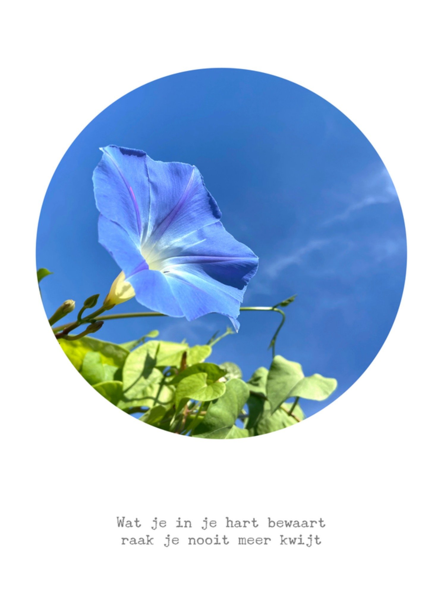 Condoleancekaart Wat je in je hart bewaart Kaart Bright Spot