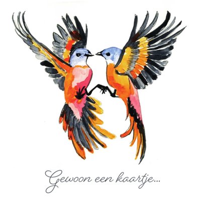 Greetz | Zomaarkaart | vogels