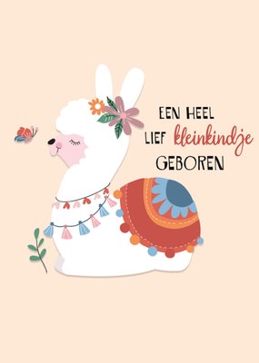 Paperclip | Geboortekaart | Kleinkindje geboren