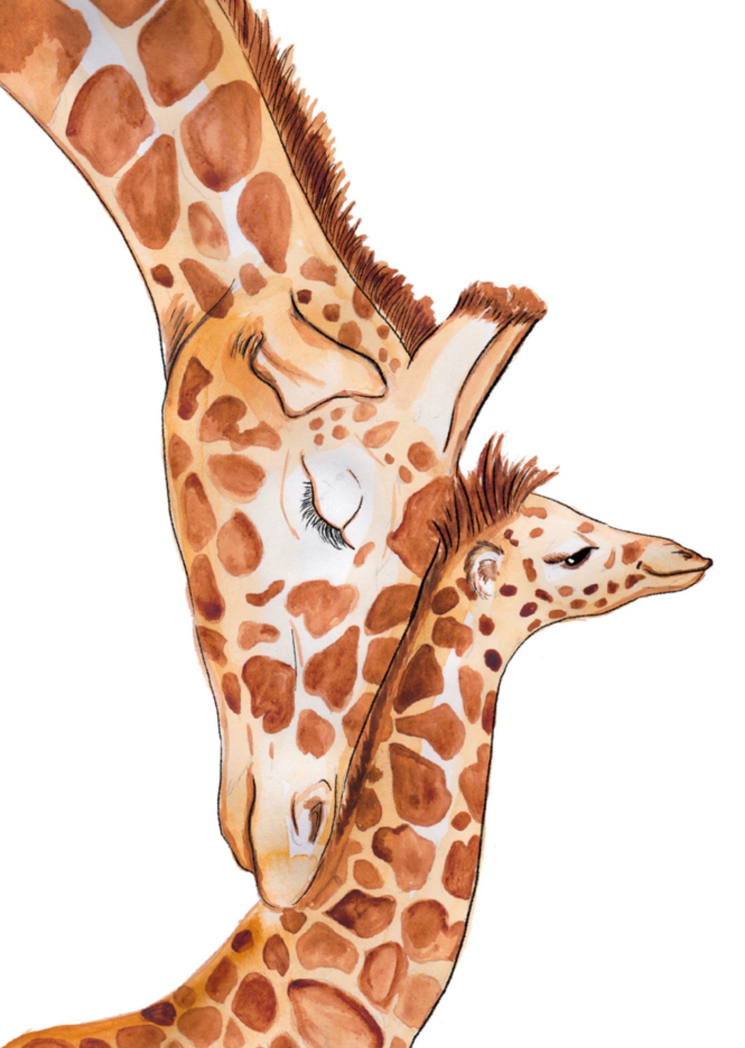 Marie Bodie Geboortekaart Giraffen Kaart Marie Bodié