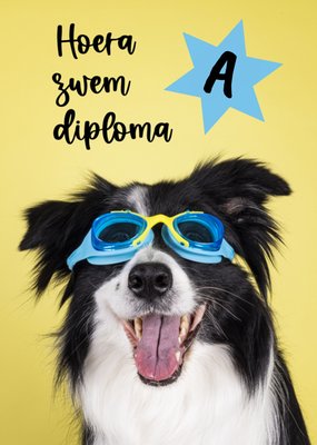 Catchy Images | Zwemdiploma kaart | aanpasbaar