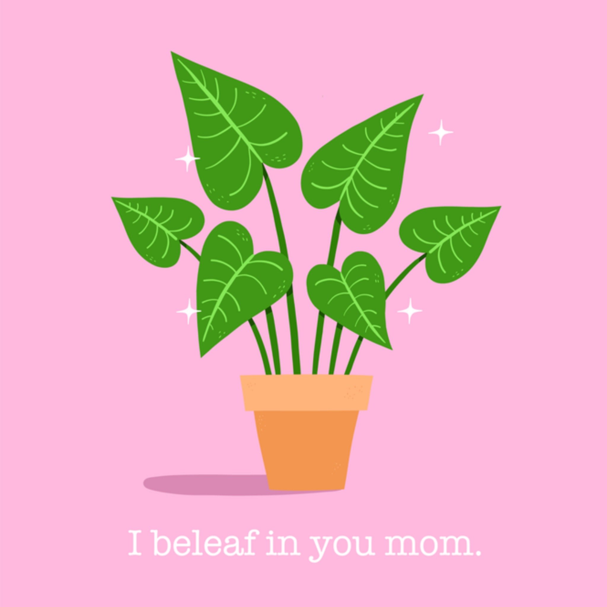 Greetz Succes kaart Plant Vierkant