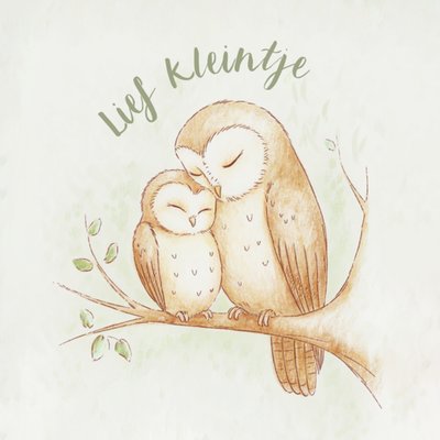 Greetz | Geboortekaart | Lief Kleintje