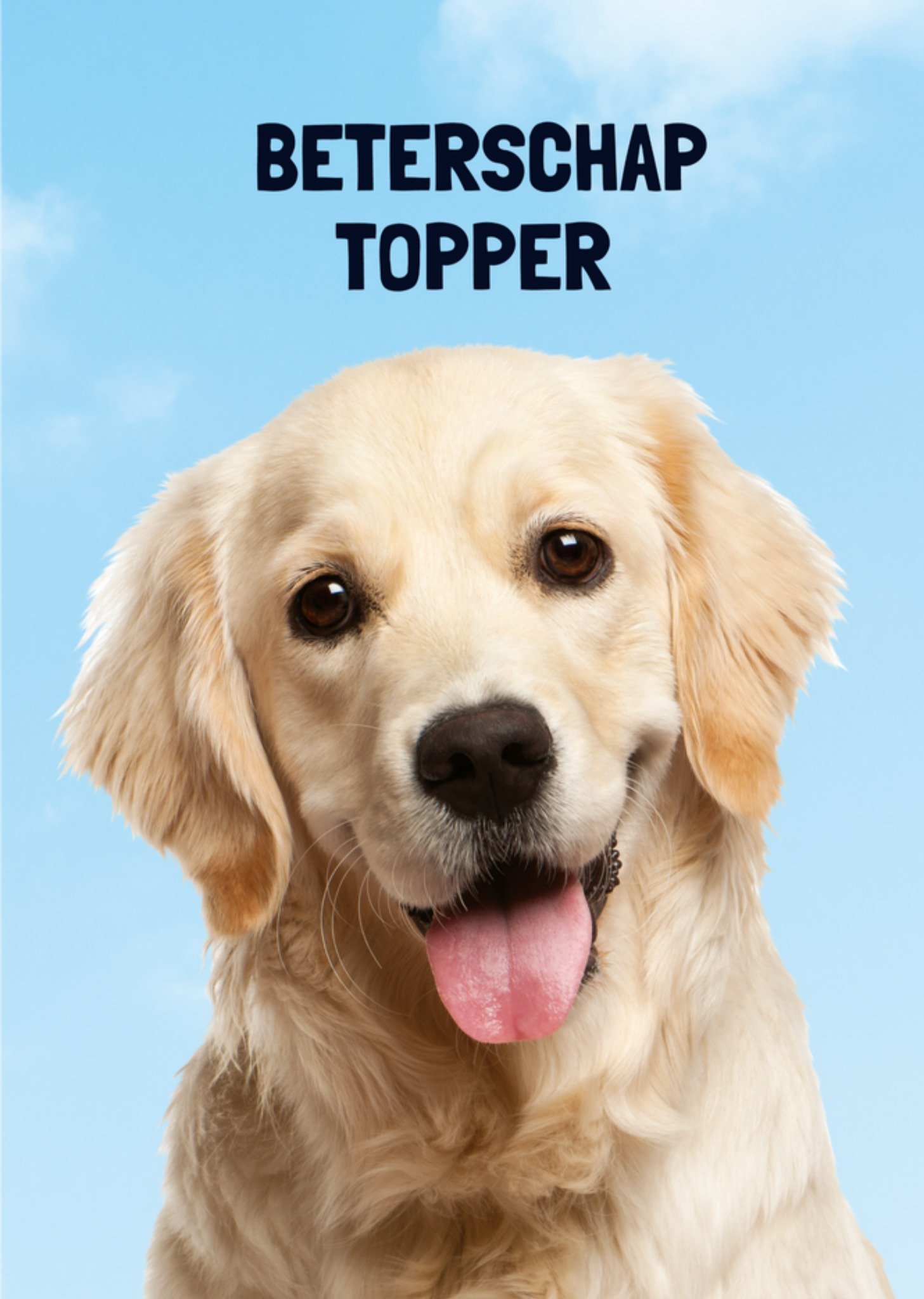 Beterschapskaart Hond Kaart TMS