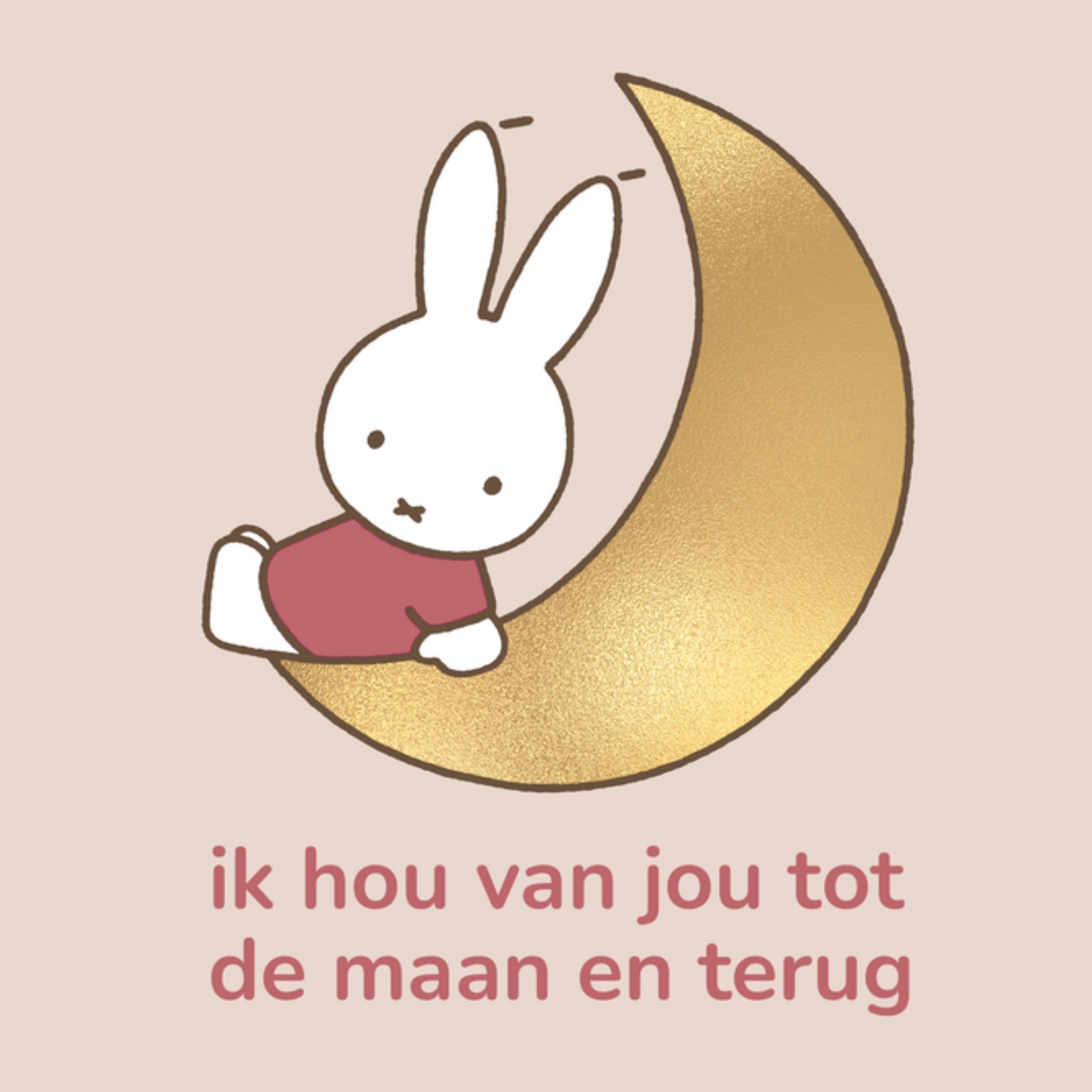 Miffy Valentijnskaart tot de maan en terug Vierkante Kaart Nijntje