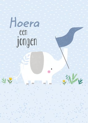 TMS | Geboortekaart | Jongen | Olifant