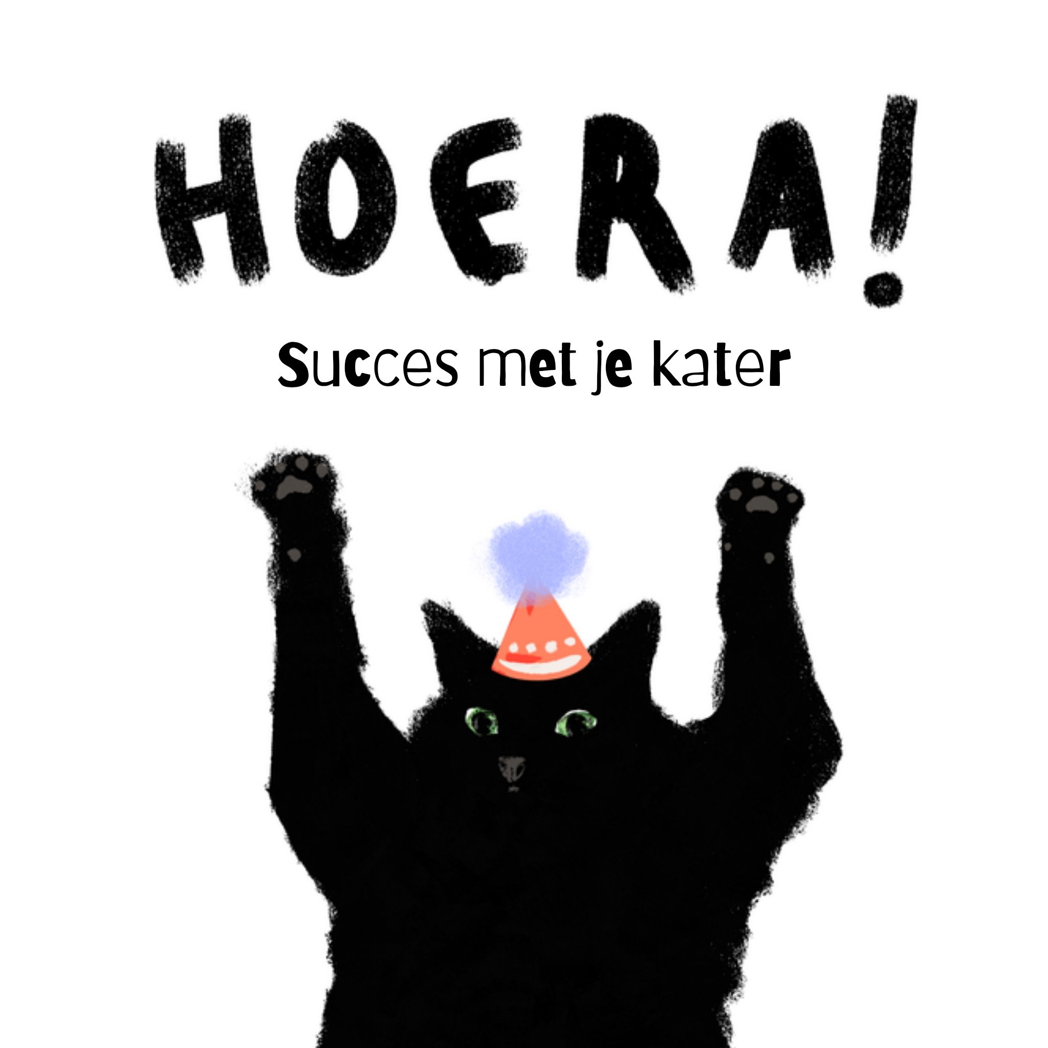 Greetz Verjaardagskaart Kater Aanpasbare tekst Vierkant