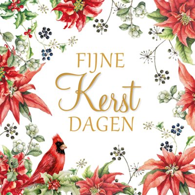 Janneke Brinkman | Kerstkaart | Aquarel kerstster