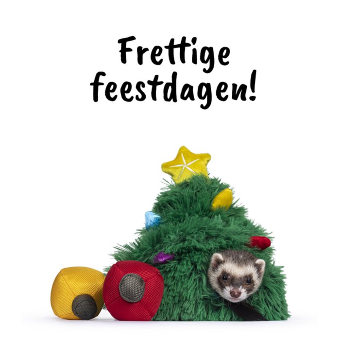 Catchy Images | Kerstkaart | Frettige feestdagen