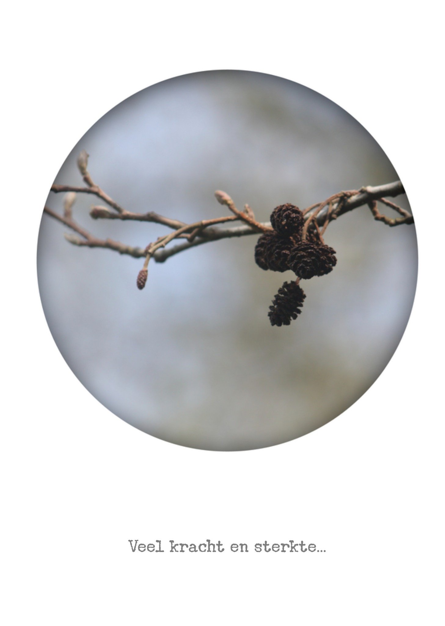 Condoleancekaart Natuurfoto Bright Spot