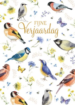 Janneke Brinkman | Verjaardagskaart | Fijne verjaardag