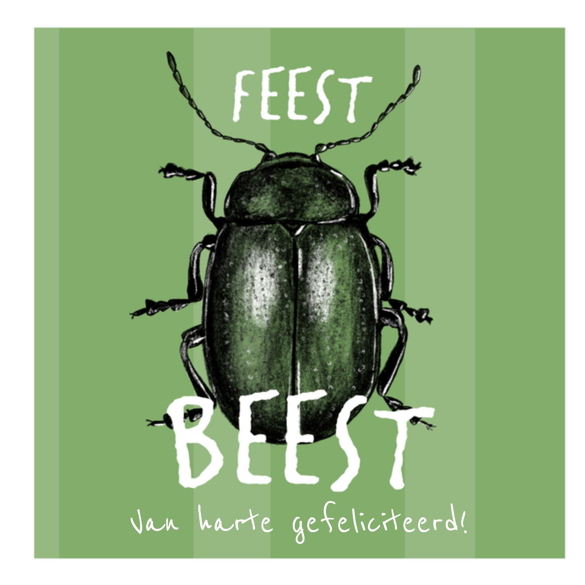 Greetz Verjaardagskaart insect feest beest Vierkant