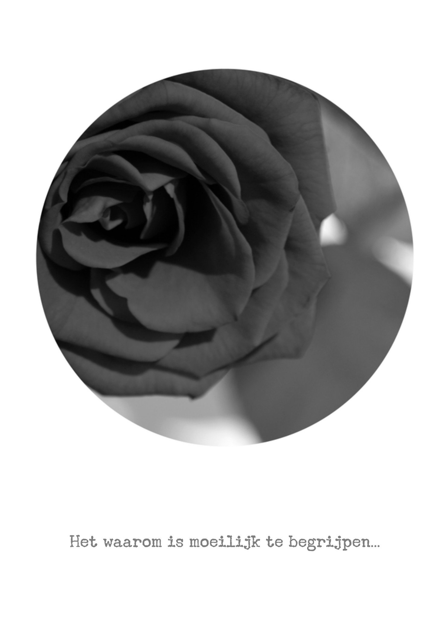 Condoleancekaart Zwarte roos Bright Spot