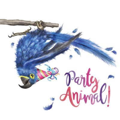 Citrus Bunn | Verjaardagskaart | Party animal