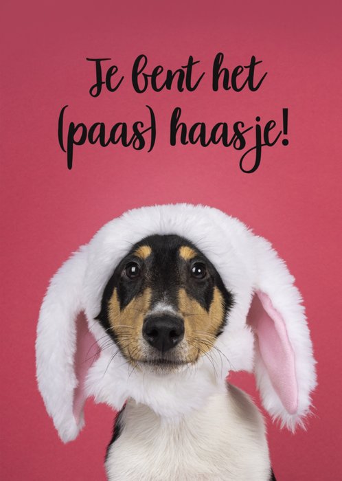 Catchy Images | Paaskaart | Paas haasje