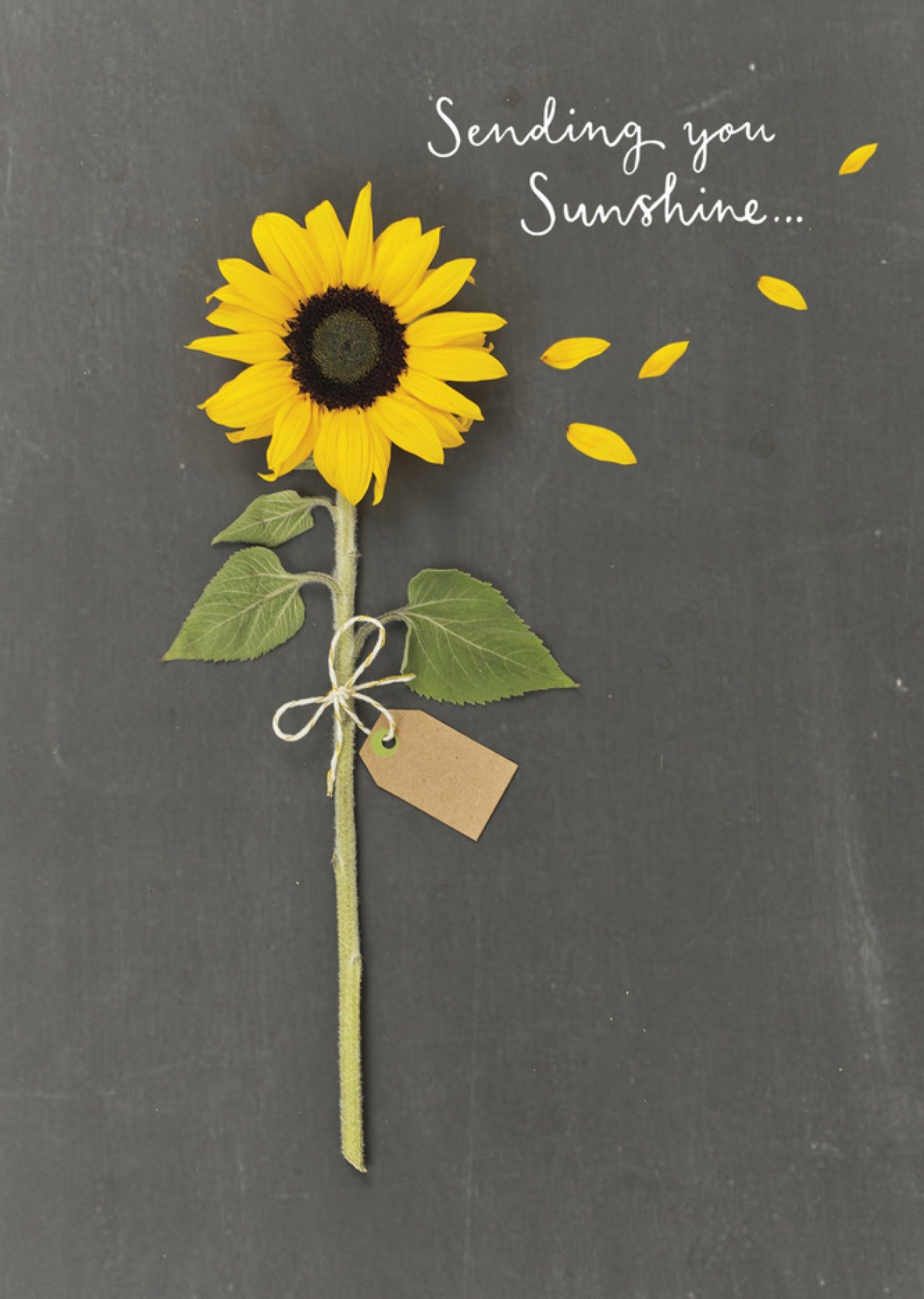 Sterkte kaart zonnebloem Kaart UK Greetings