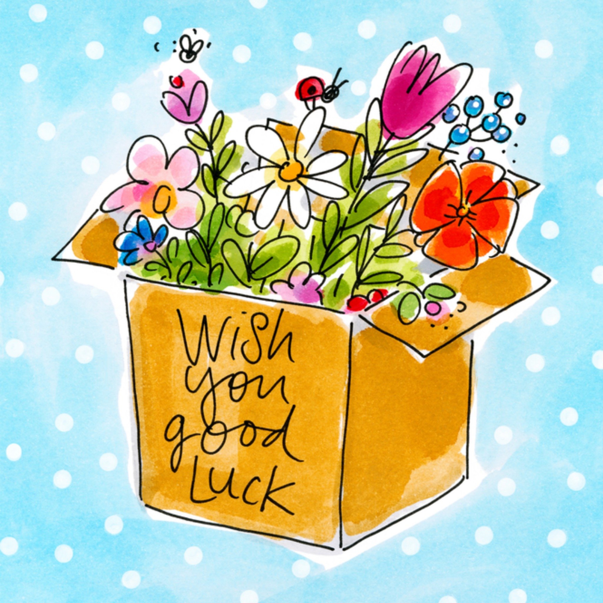 Succeskaart doos bloemen Vierkante Kaart Blond Amsterdam