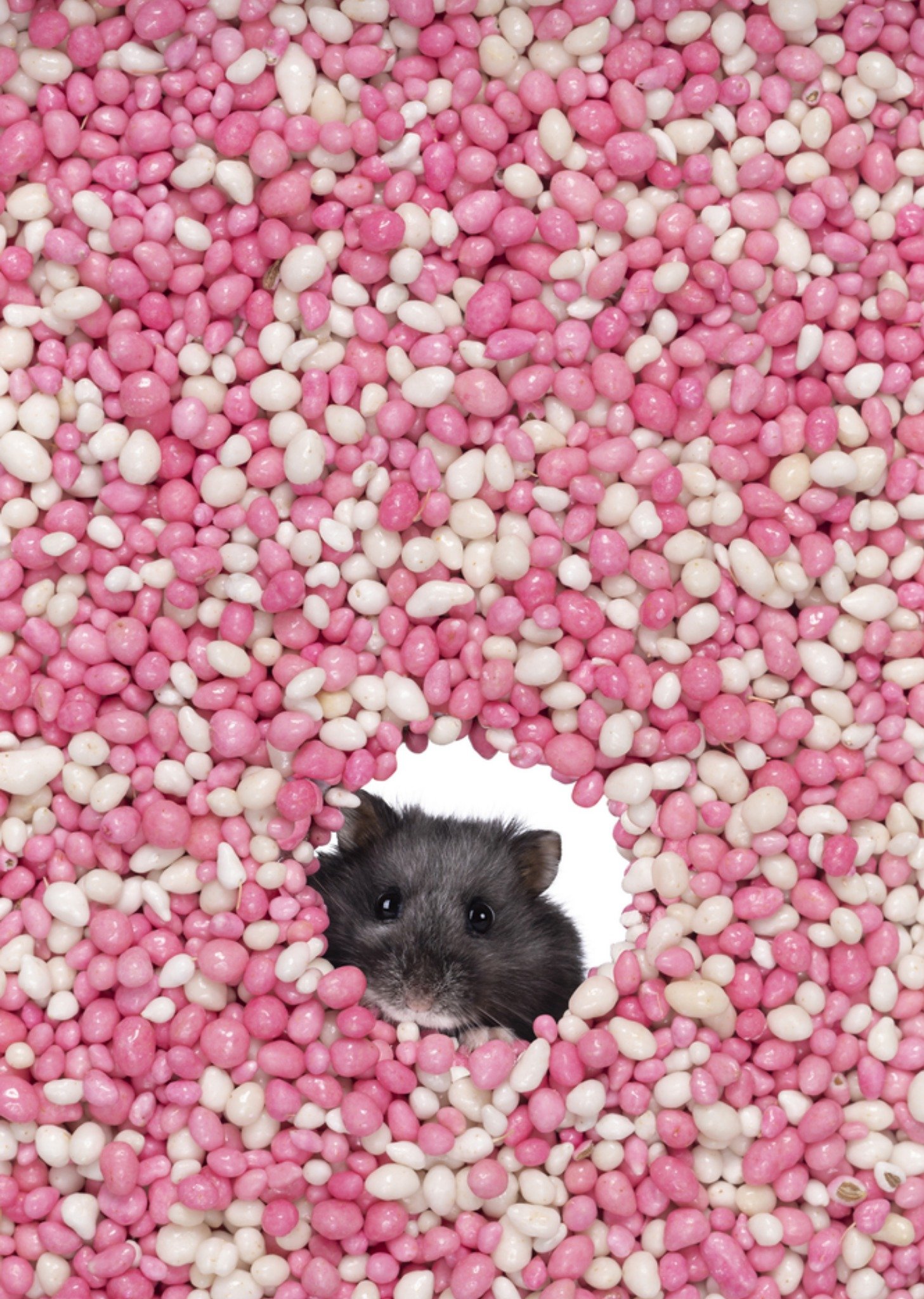 Geboortekaart roze muisjes Kaart Catchy Images