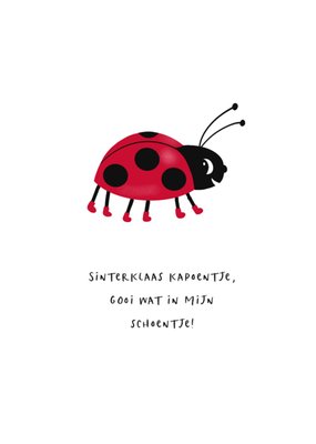 Sinterklaas Kapoentje Gooi Wat In Mijn Schoentje Geïllustreerd Lieveheersbeestje Kaart
