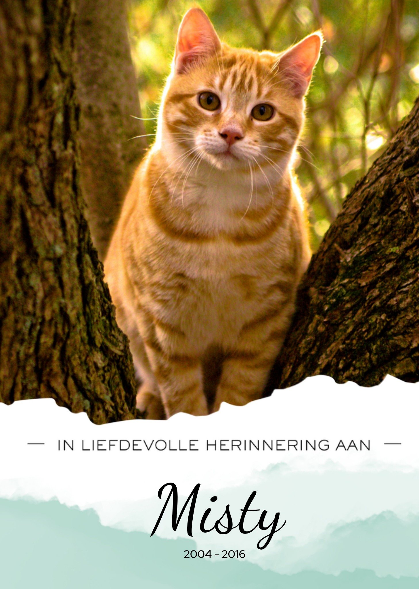 Condoleancekaart fotokaart met naam Kaart Greetz