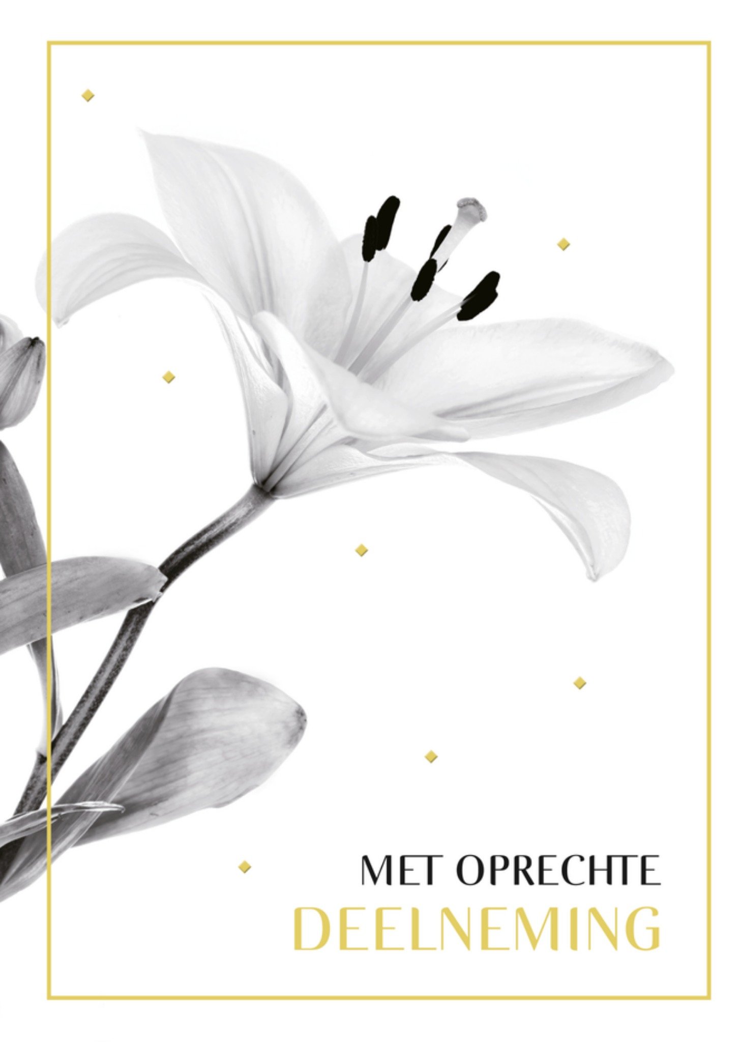 Condoleancekaart Bloemen Neutraal Kaart TMS