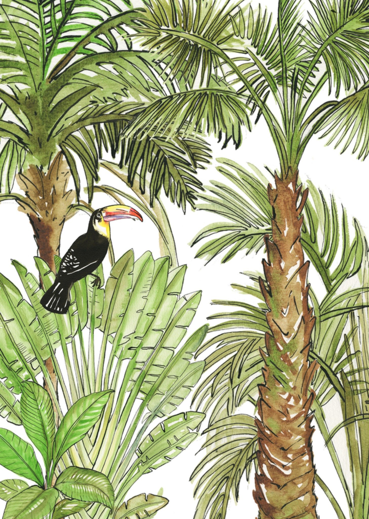 Toekan Kaart Marie Bodié