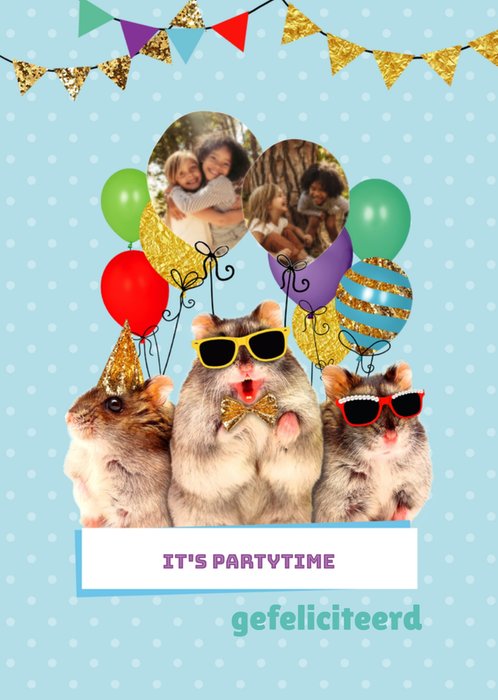 Verjaardagskaart | TMS | Hamster | Foto