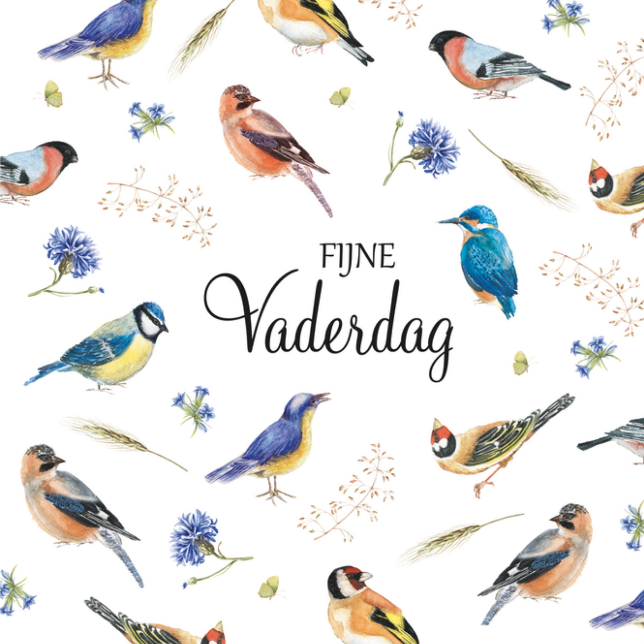 Vaderdagkaart vogels Vierkante Kaart Janneke Brinkman