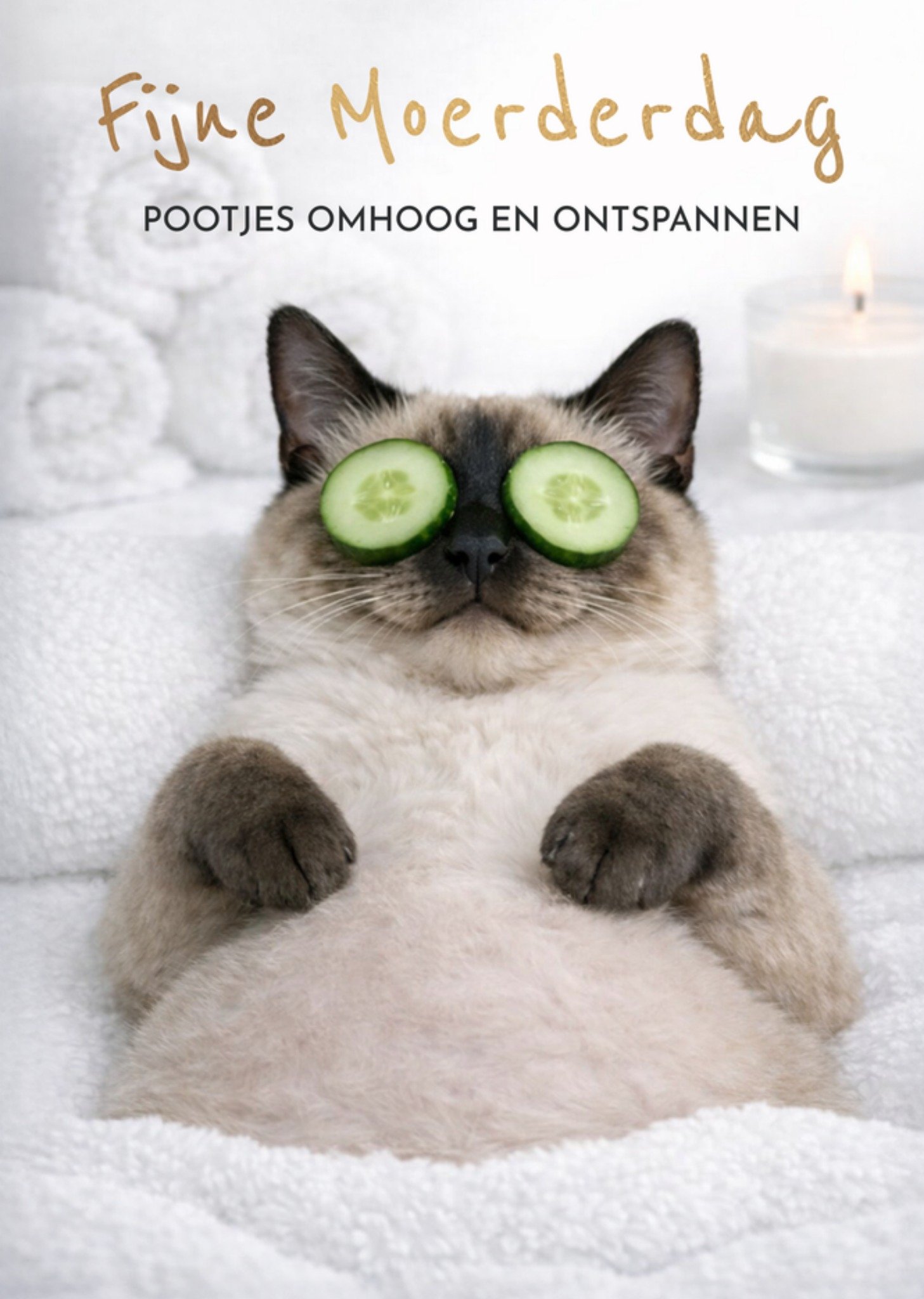 Moederdagkaart Schattige Spa Kat Met Komkommer Greetz
