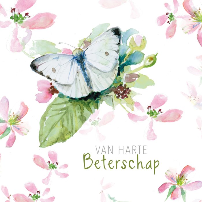 Michelle Dujardin | Beterschapskaart | Vlinder