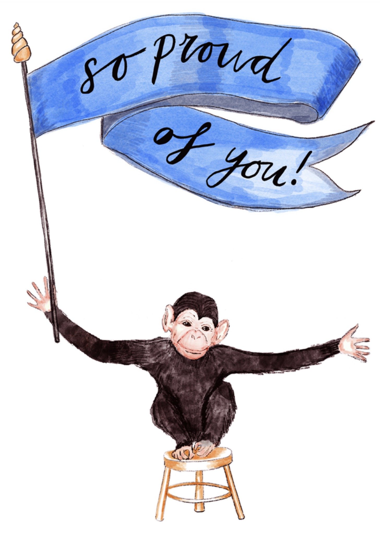 Marie Bodie Geslaagdkaart Trots op jou Aapje Kaart Marie Bodié