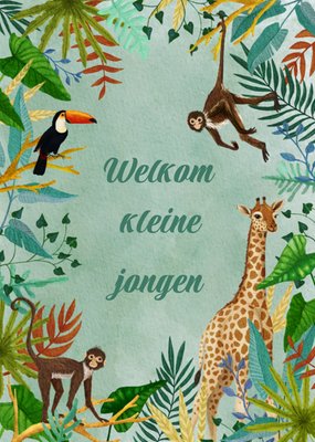 Petit Konijn | Geboortekaart | Illustratie | Retro