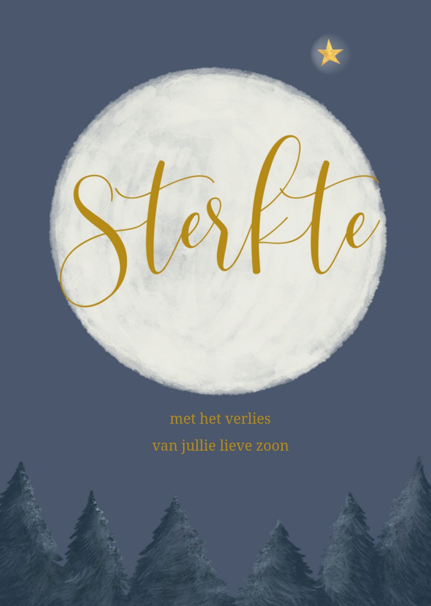 Condoleancekaart lieve zoon Kaart Tsjip