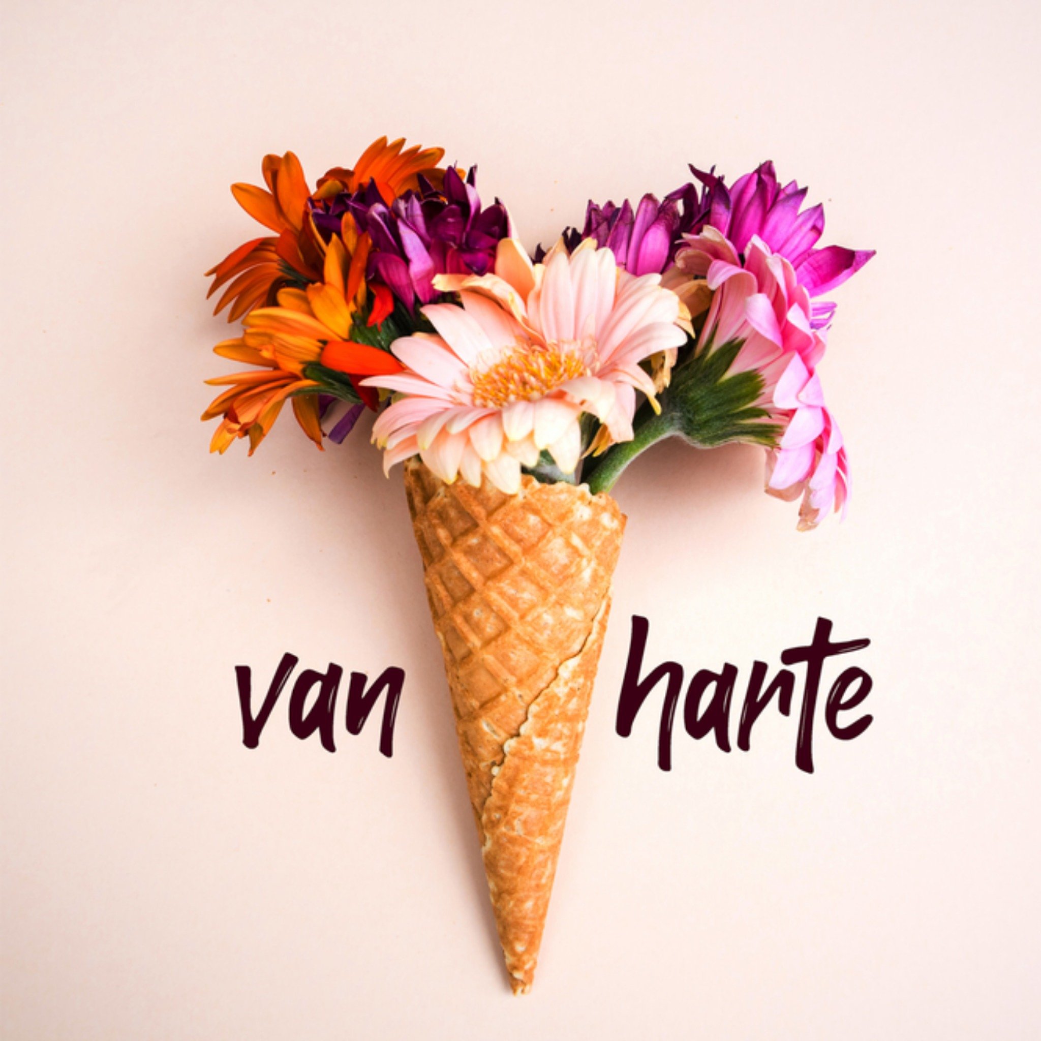 Verjaardagskaart bloemen Vierkante Kaart Photoflash