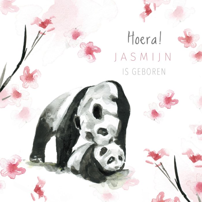 Michelle Dujardin | Geboortekaart | Panda