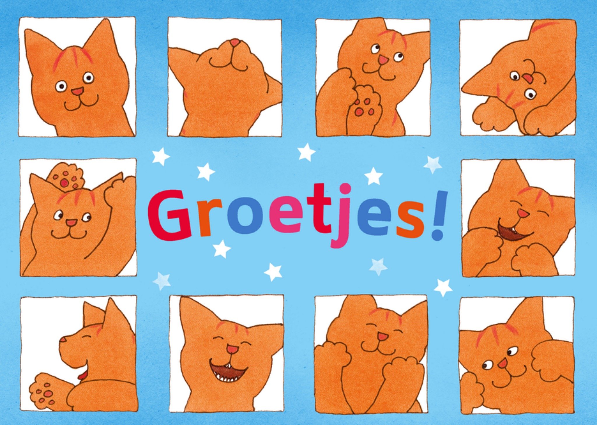 Groetjes van Kaart Dikkie Dik