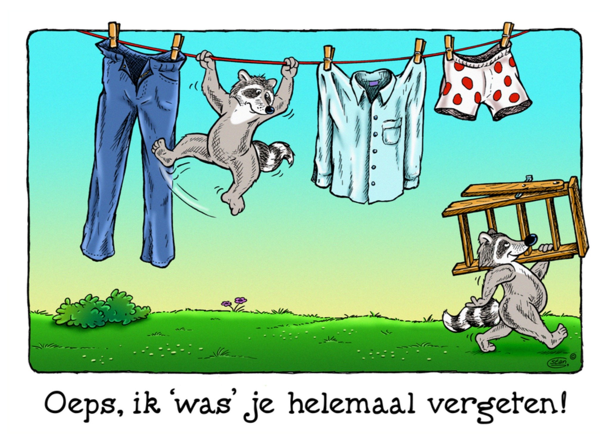 Bengels Verjaardagskaart te laat wasbeer Kaart Stan Groenland