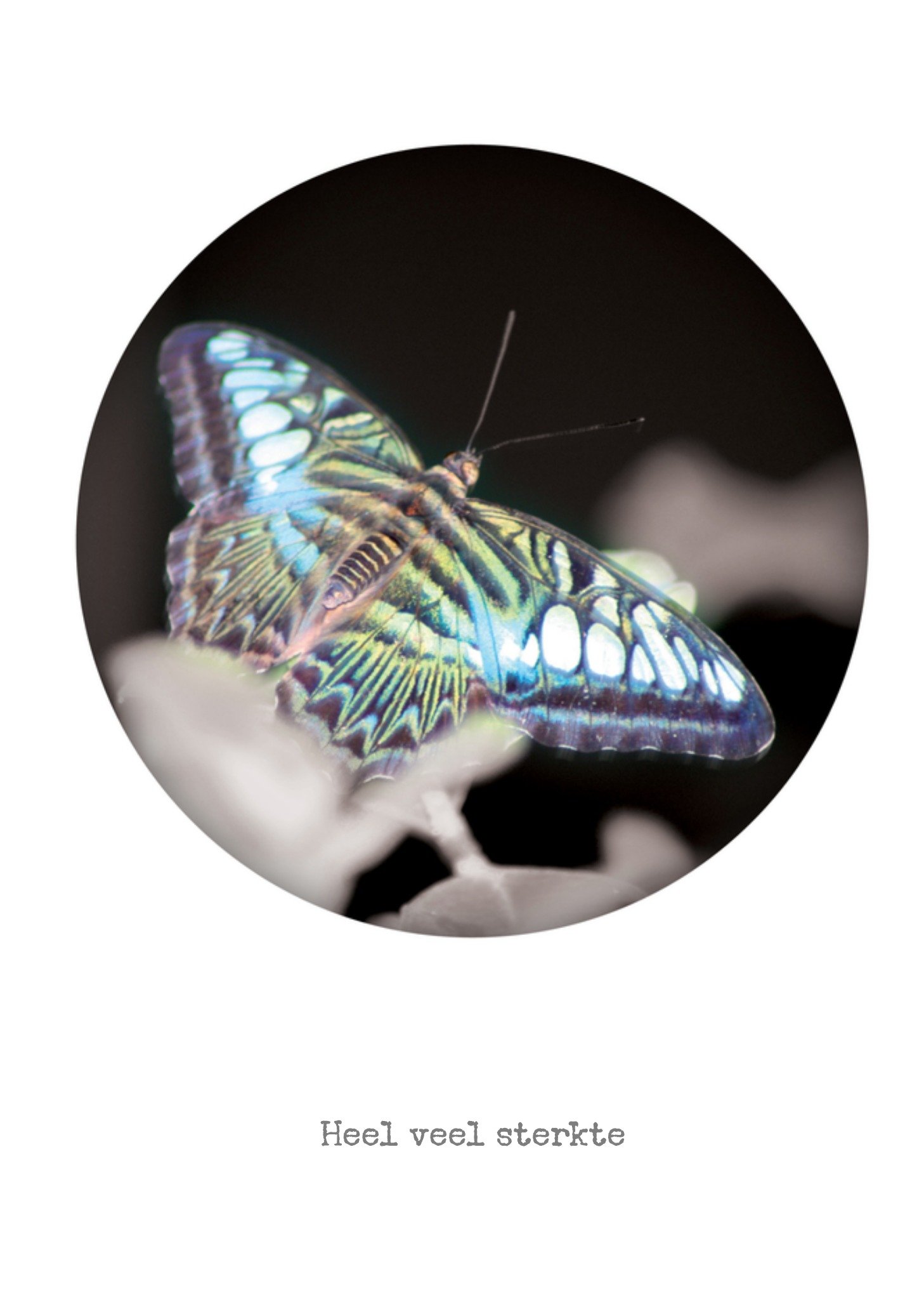 Condoleancekaart Vlinder Bright Spot