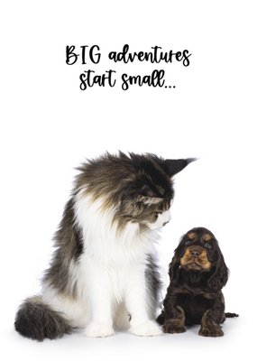 Catchy Images | Geboortekaart | Big adventures