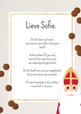 De Sint Komt Op Bezoek Geïllustreerde Sinterklaas Kaart