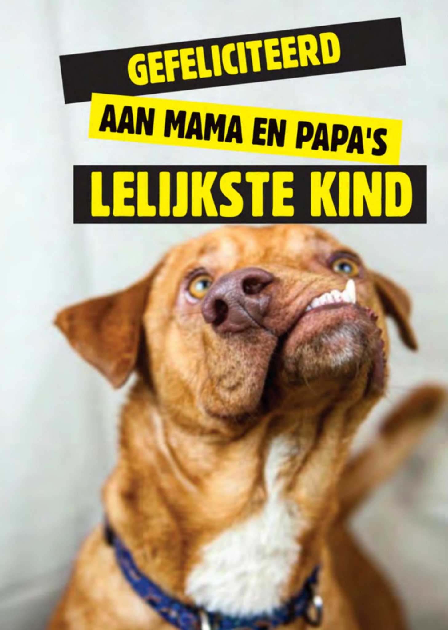 Cheeky Chops Verjaardag Hond Kaart Cheeky chops