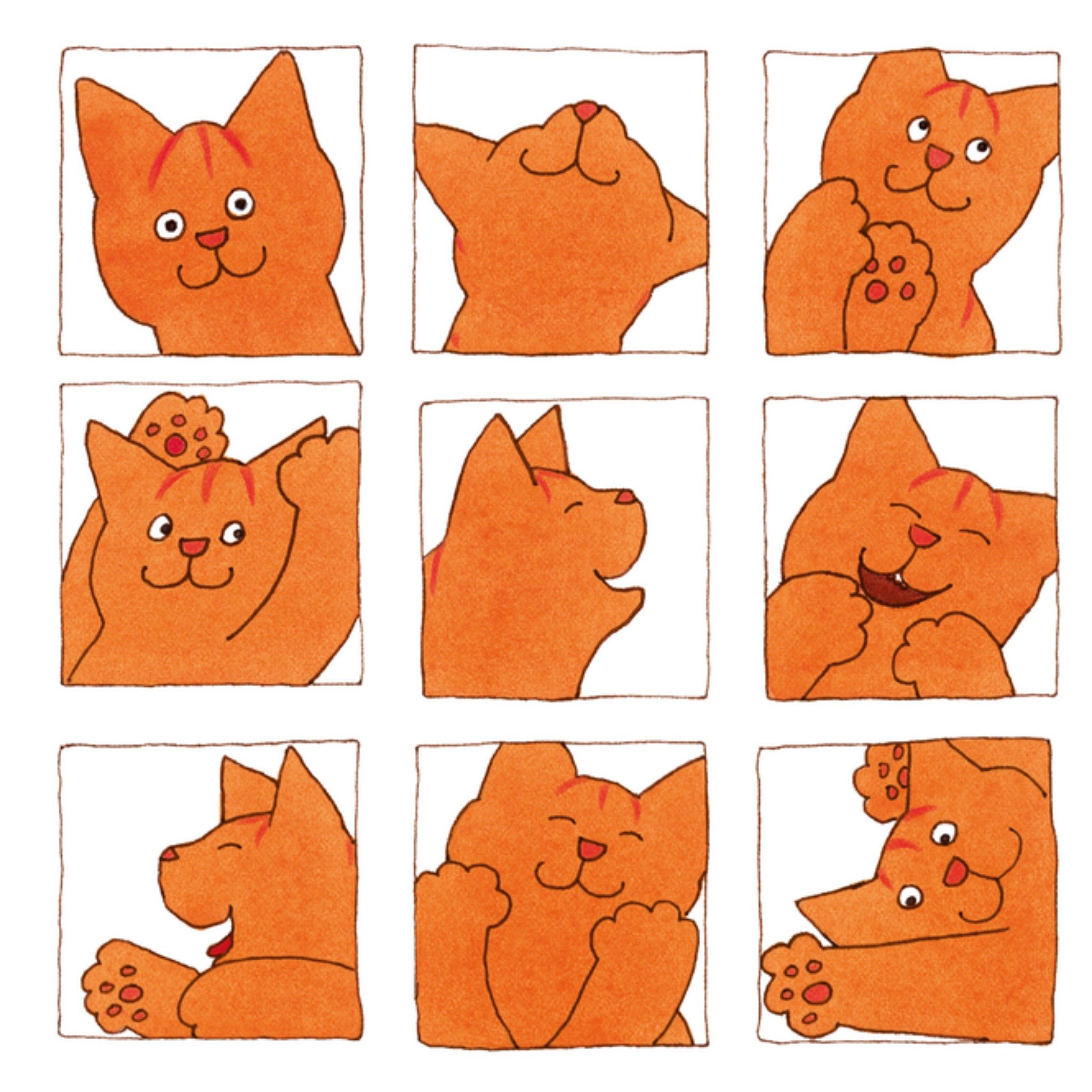 Zomaar kaart Kat Vierkante Kaart Dikkie Dik