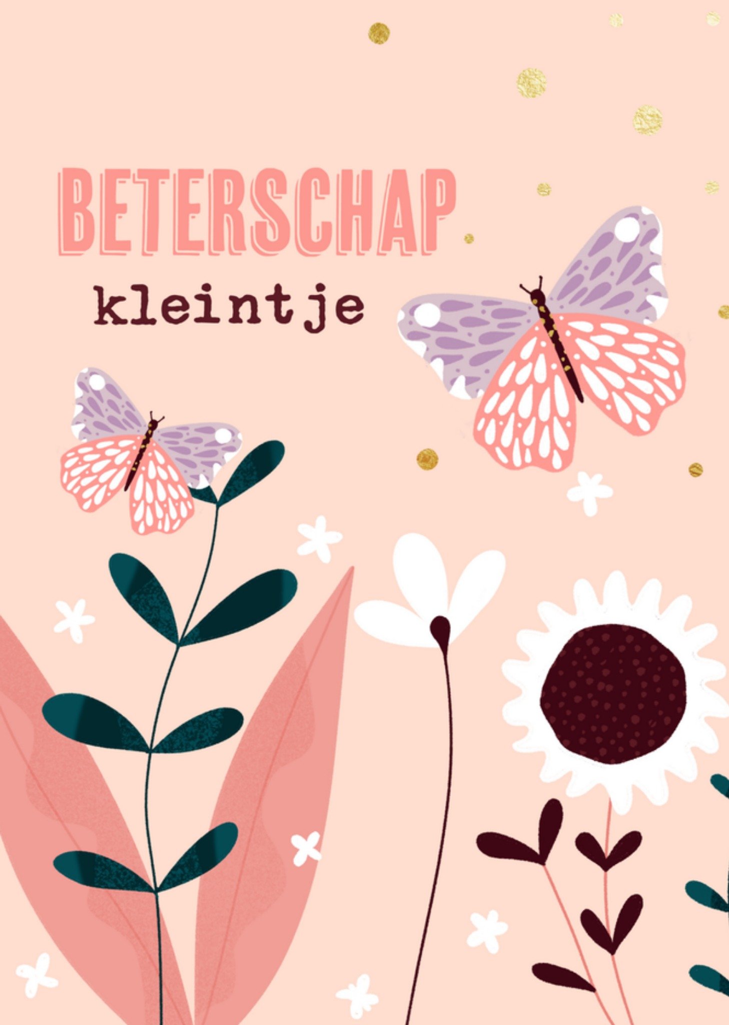 Beterschapskaart Vlinders Greetz