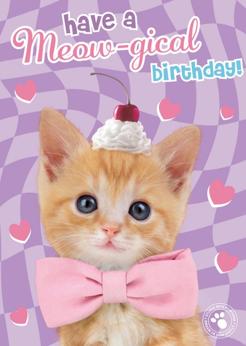 Studio Pets | Verjaardagskaart | Meowgical birthday